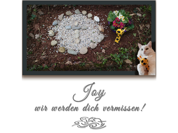 Slideshow Joy