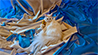 RWS-DEV - Joy Bildergalerie KI