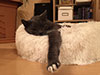 Web-Complett - Max Bildergalerie