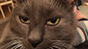 Web-Complett - Max Bildergalerie