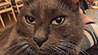 Web-Complett - Max Bildergalerie