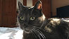 Web-Complett - Max Bildergalerie