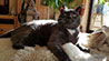 Web-Complett - Max Bildergalerie