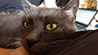 Web-Complett - Max Bildergalerie
